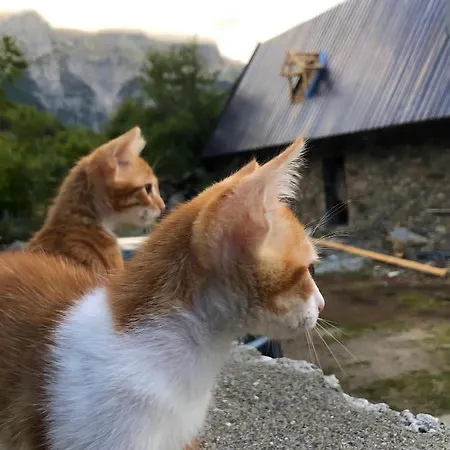 Bec Villi Penzion Theth