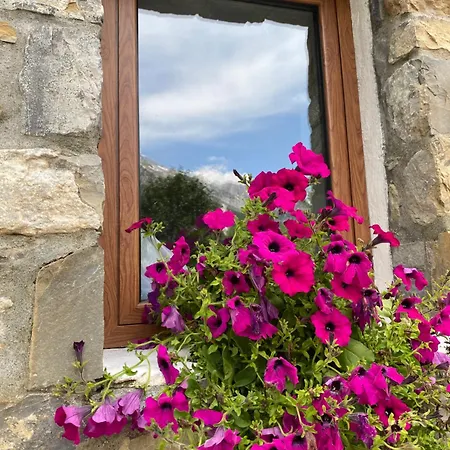 Penzion Bec Villi 4*